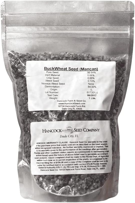 Hancock Seed Co. Buckwheat Seeds, 10 lbs. Grocery