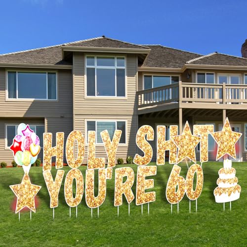 Breling 20 Pcs 60th Birthday Decorations Banner for...