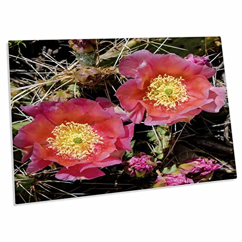 3dRose Desk Pad Cactus Flowers 23x16 pulgadas miniatura 1