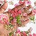 Yoksas Nature Vintage Pink Flower Plants Stickers - 100 Pcs Aesthetic Clear Floral Stickers for Scrapbooking, Journaling,Planner,Art Project