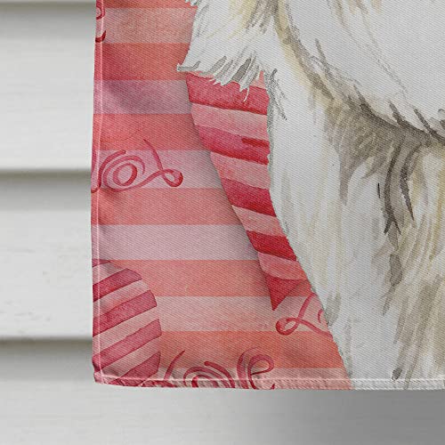 Pavillon Maltese grand format drapeau de maison en toile multicolore CK1760CHF