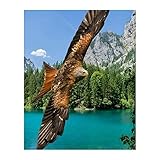 Fierce Bald Eagle in Flight - Motivational American Wall Art 8x10 Unframed, Patriotic Mountain Lake Photo Print for Home, Office, and School Decor