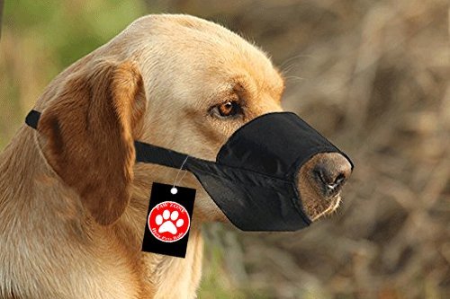 dog mouth cap