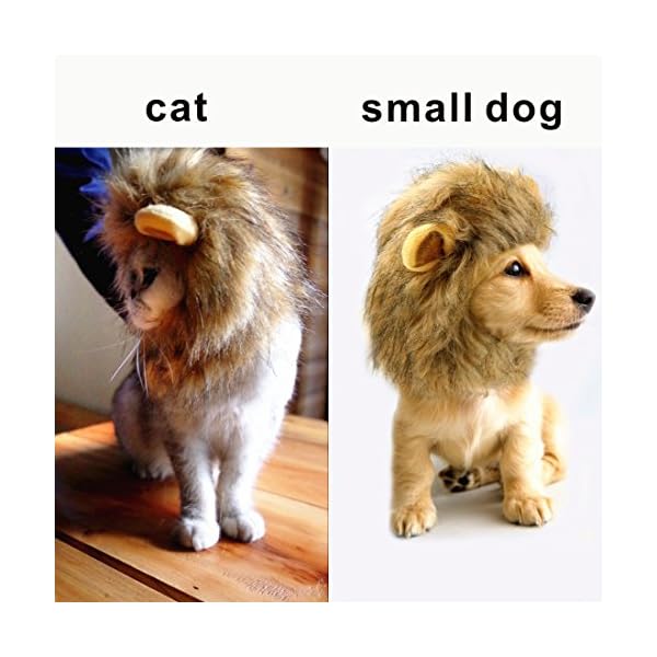 Idepet dog cat lion mane - realistic funny lion mane for dogs - complementary lion mane hat for dog cat costumes,halloween lion mane costume for cat & dog (cat lion mane) - image 5