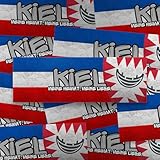 Fan-Kultur Xperience