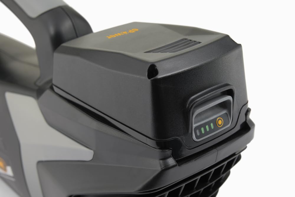 Alpina AB 20 Li Kit Soffiatore a Batteria, 20 V, Velocità Aria 32 m/s – Ultraleggero, Batteria e Caricab. Inclusi – Per Giardino