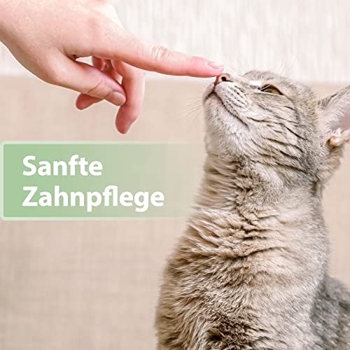 Felisept Zahnpflege Finger-Pads für Katzen 50 Stück - Fingerlinge für effektive Katzen Zahnpflege, Mundhygiene & frischen Atem, Reduziert Plaque, Zahnreiniger Katze