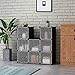 C&AHOME Cube Storage with Doors, 9-Cube Storage Organizer, Plastic Closet Cabinet, Modular Book Shelf Units, Storage Shelving, Ideal for Bedroom, Home, Office, 36.6”L x 12.4”W x 36.6”H Black
