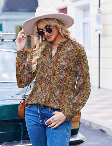 Zeagoo Womens Long Sleeve Tops Henley V Neck Shirts Pleated Blouses Dressy Casual Fall Loose Tunic Tops 2025 Basic Tees4