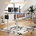 STARY Electric Standing Desk Adjustable Height Sit Stand Home Office Desk with Splice Board