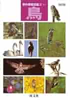 『鳥の観察』図鑑(旺文社) 鳥 改訂版 (野外観察図鑑 5) |本 | 通販 | Amazon