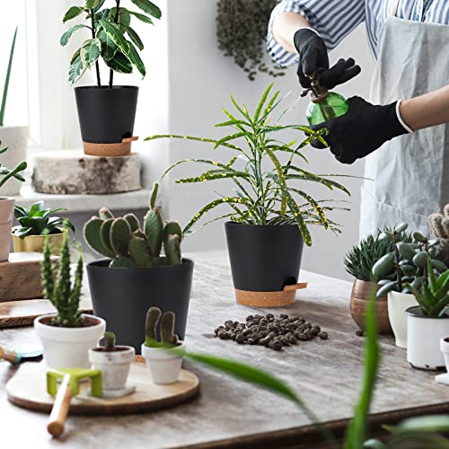 Whonline 6 Pack Self Watering Pots 8/7/6.5/ Inch Plastic Plant Pots Bottom Watering Plant Pots With Saucer Reservoir And Watering Lip For Indoor Outdoor Flowers Plants Windowsill #TOP5