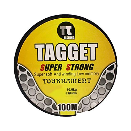 Linha de pesca, 100 m de nylon super forte para pesca marítima ao ar livre, ferramenta de pesca aces