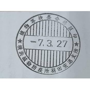 3月入荷 500粒+ アガベ ユタエンシス エボリスピナ 種子 種 証明書あり2 3月入荷 500粒+ アガベ ユタエンシス エボリスピナ 種子 種 証明書あり3 3