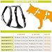 Ferplast Kleines Hundegeschirr ERGOCOMFORT EXTRA SMALL, verstellbares Hundegeschirr, bequem, gepolstert, doppelter Mikroverstellverschluss, Schnellverschluss, Silber