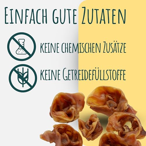 Schweineohrmuscheln für Hunde getrocknet | 1 kg | 100% Schwein | natürlich und hochwertig | Kauartikel zur Zahnpflege | Leckerli von Wuffsnacks