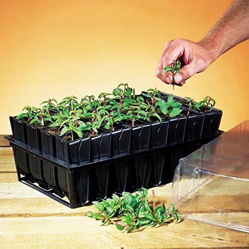 Miniatura 4 de Deep Rootrainers Kit - Kit de propagación de semillas y corte (32 celdas, 5 pulgadas de profundidad)