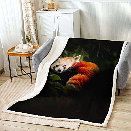 Raccoon Sherpa Blanket Red Panda Plush Blanket Tree Green Leaves Fleece Throw Blanket For Sofa Couch Bed 3D Wild Animal Pattern Fuzzy Blanket Ultra Soft Room Decor Twin 60X80 Inch #TOP1