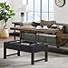 Pomona 3-Piece Living Room Set with 42" W Lift Top Coffee Table and Two End Tables with Shelves