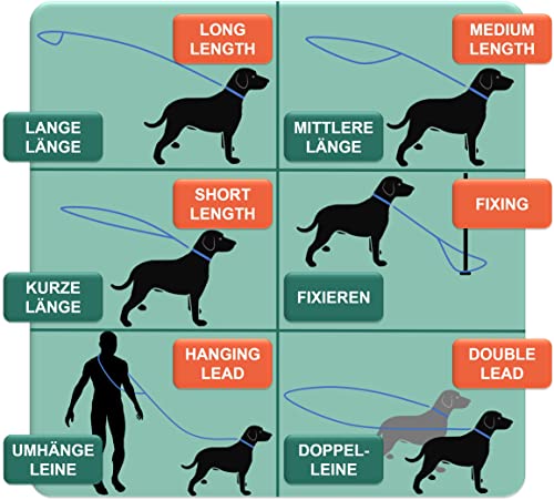 DEY - Premium Hundeleine Nylon 2m | 3fach Verstellbar | für Kleine, Mittelgroße u. Große Hunde | viele Farben |Doppelleine Hund Katze Welpe | Schleppleine |Führ-Leine | Welpenleine | Schwarz, S