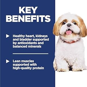 Hill's Science Diet Adult 7+, Senior Adult 7+ Premium Nutrition, Small Kibble, Dry Dog Food, Chicken, Brown Rice, & Barley, 5 lb Bag Hills Science Diet Adult 7 Senior Adult 7 Premium Nutrition Small Kibble Dry Dog Food Chicken Brown Rice Barley 5 lb Bag