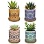Nattol Set Di 2 Vasi In Ceramica A Forma Di Gufo – Turchese, Con Foro Di Drenaggio – Per Piante Grasse, Cactus, Fiori – Decorazione Casa - 3
