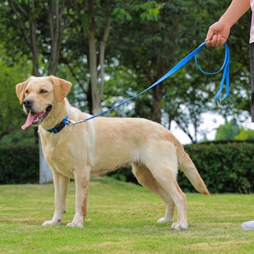 Nimble Wasserdichtes Hundehalsband, leicht zu reinigendes Gummihalsband mit Schnellverschluss, passend für kleine, mittlere oder große Hunde