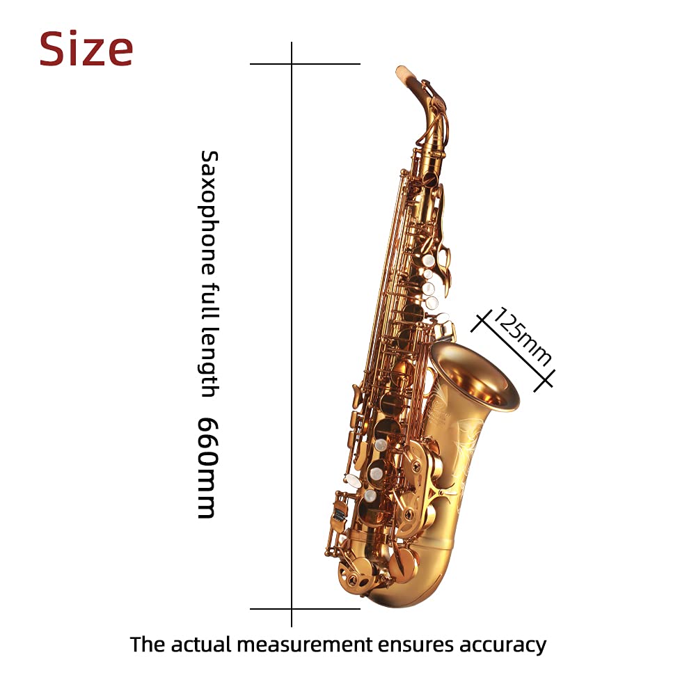 Rollins Saxophone alto RSA-9901,E flat Selmer 802-Key,Matière laiton, Or