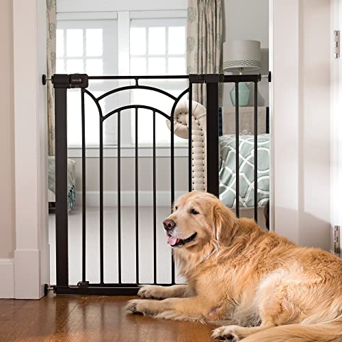 Top 10 Best Safety First Baby Gate Reviews & Buying Guide Katynel