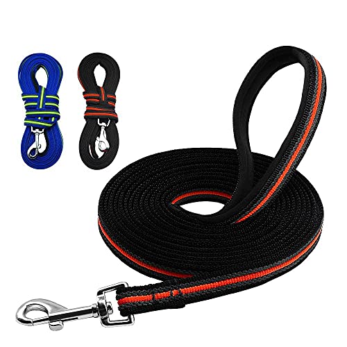Durable Dog Leash Blue Soft Handle