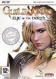  Guild Wars Espansione Eye of the North [Importación italiana]
