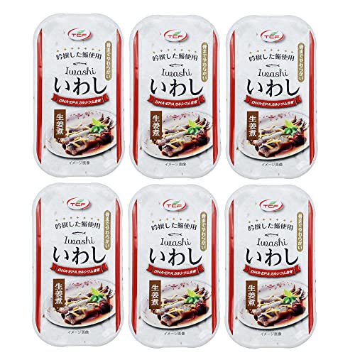 いわし缶 生姜煮 100gx6缶 イワシ缶 缶詰 鰯 水煮 まとめ買い