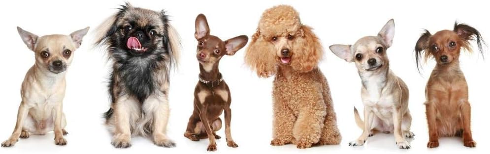 ダイヤモンドアートセット 幸せな犬大人の子供に最適なプレゼント 最大66 オフ 絵画セットx30cm ダイヤモンドアート