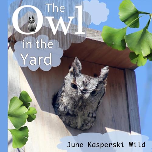 Preisvergleich Produktbild The Owl in the Yard