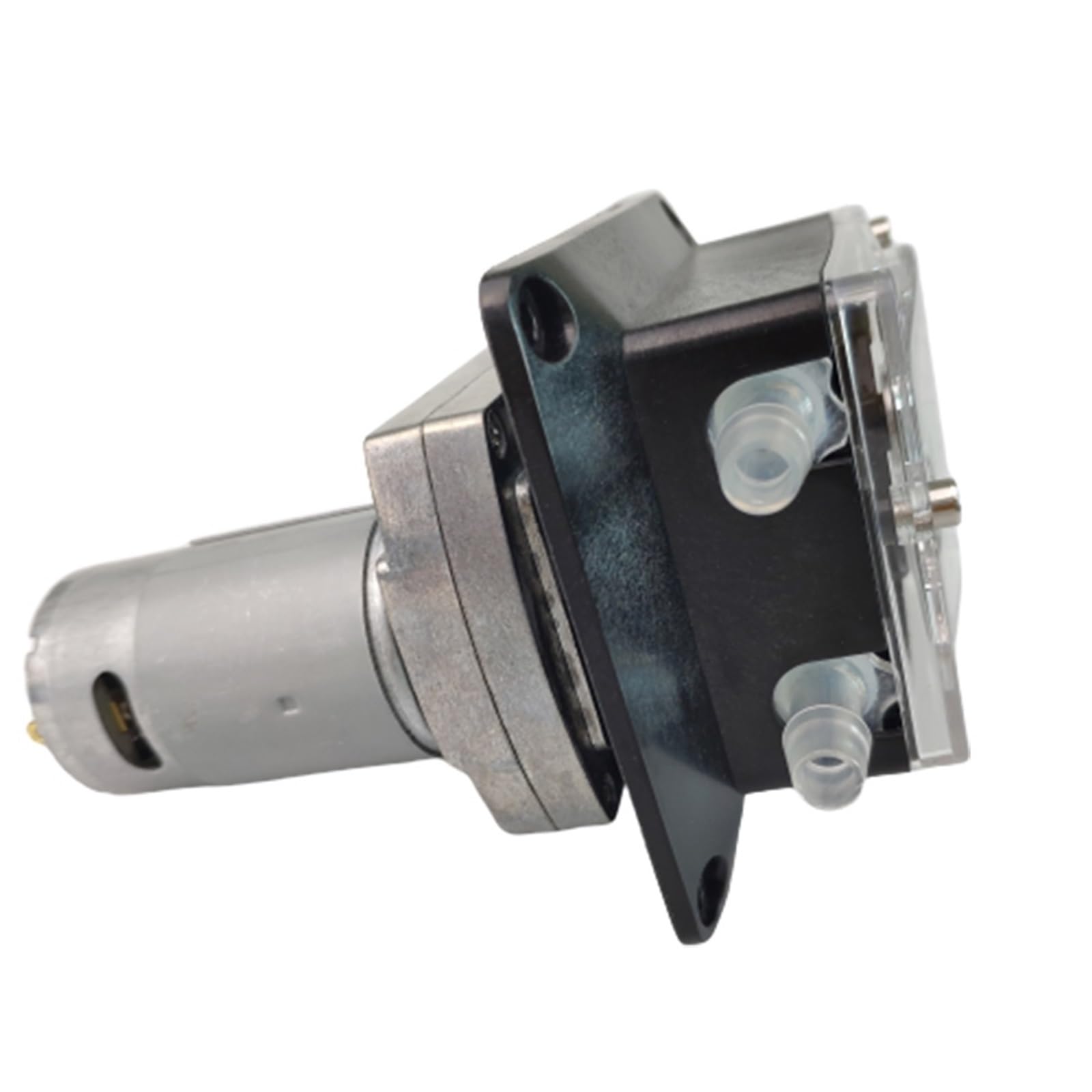 Pompa peristaltica dosatrice 12 V 24 V, alta portata per acquario, laboratorio analitico (tubo in silicone, 24 V)