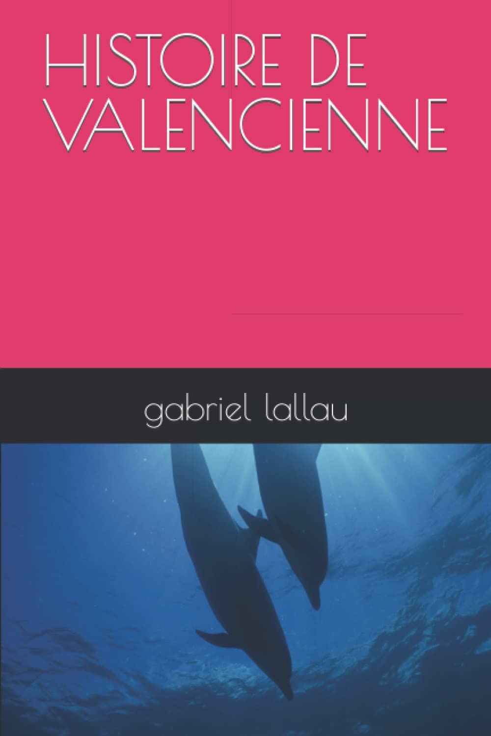 HISTOIRE DE VALENCIENNE (Histoire des ville) (French Edition)