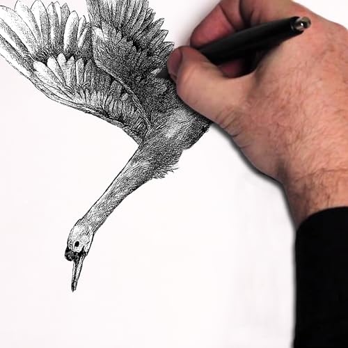 Tiere zeichnen lernen: realistische Tierportraits von Haustieren bis Wildtieren - detailliertes Zeichenbuch mit Schritt für Schritt Anleitung für Fortgeschrittene | SimplePaper