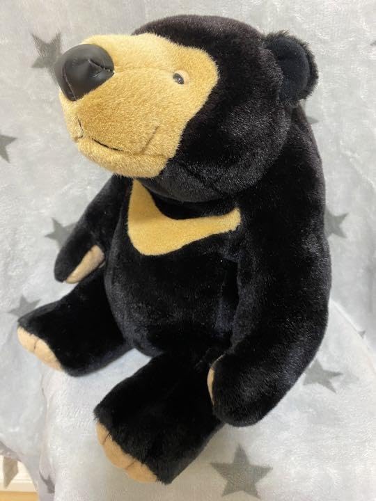 Amazon.co.jp: モンスイユ マレーちゃん M サイズ くま