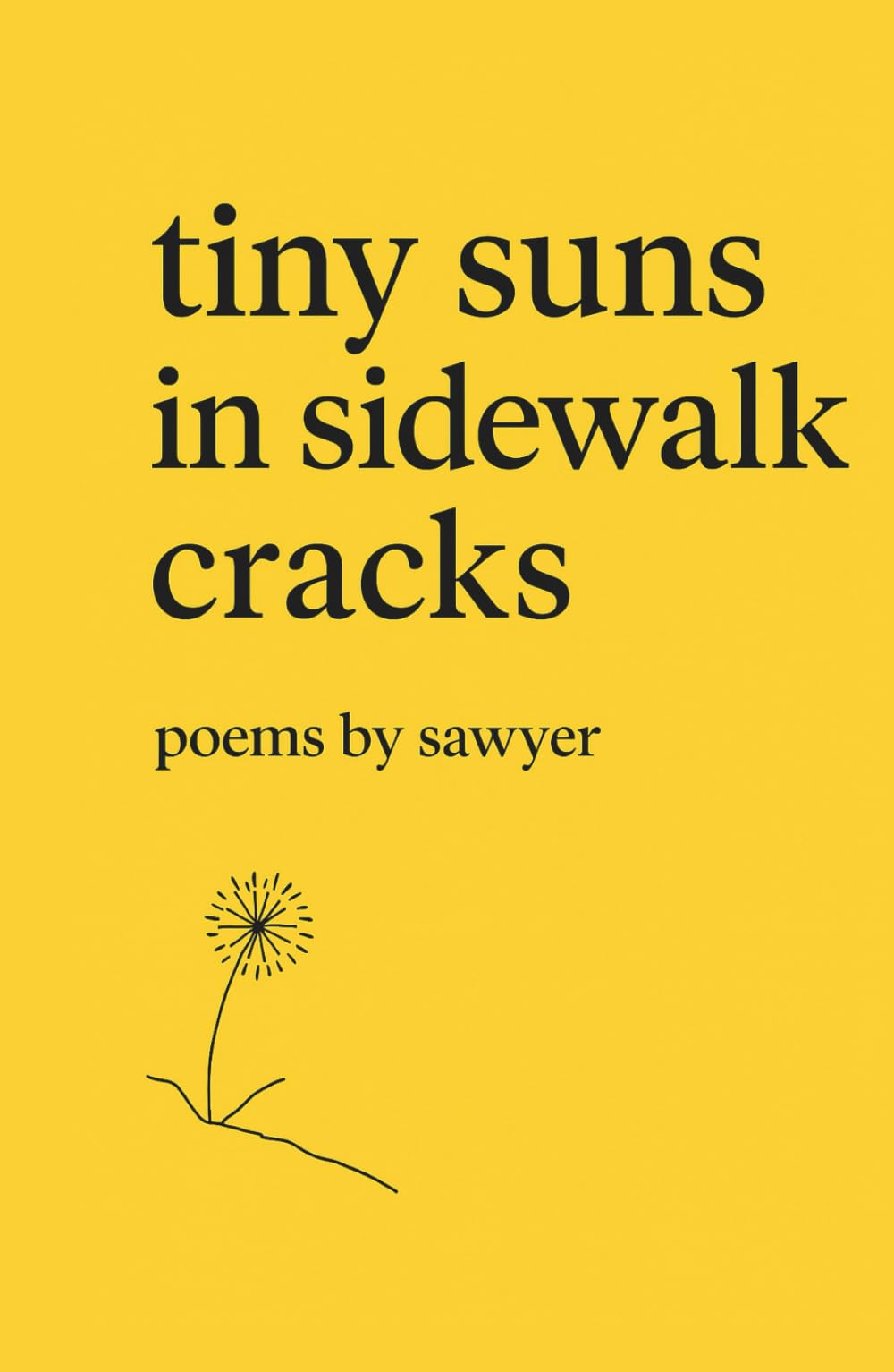 tiny suns in sidewalk cracks