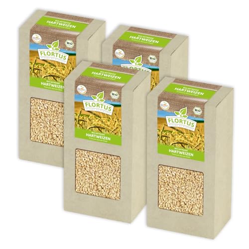 FLORTUS BIO Hartweizen Getreide Samen 800g | Weizen zur Herstellung von Weizenkleie Nudeln Couscous Smoothie Katzengras & Microgreens | Sprossen Samen