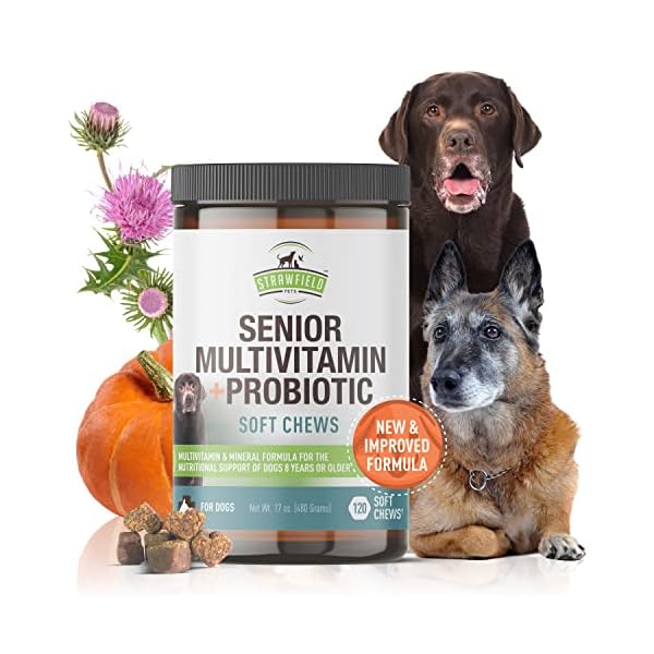 Senior Dog Multivitamin + Dog Probiotics Soft Chews | Glucosamine Chondroitin, Probiotics, Omega 3 | Senior Dog Supplements & Vitamins | Senior Dog Health Supplies Senior Dog Multivitamin + Dog Probiotics Soft Chews | Glucosamine Chondroitin, Probiotics, Omega 3 | Senior Dog Supplements & Vitamins | Senior Dog Health Supplies