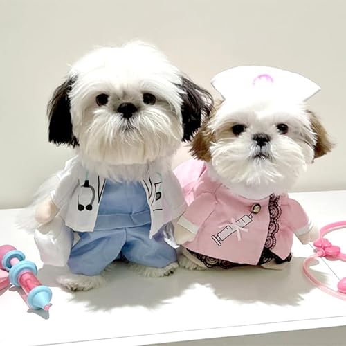 ybg RXv yA  L nEB  yAbN RX`[  񑫕s ĕ ^ ^ ʔ 킢 (S)