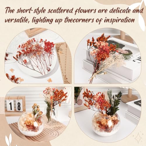Flores secas naturales para decoración boho y manualidades miniatura 4