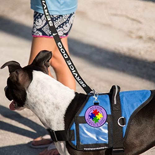 service dog carrier