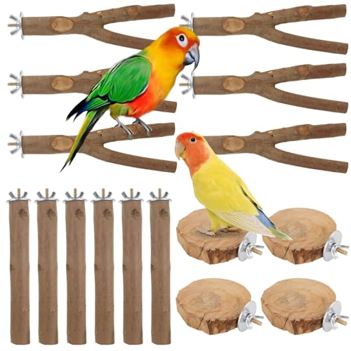 Image of 16 PCS Natural Wood Bird Perch Wooden Parrot Perch Stand Bird Cage Branches Bird Cage Accessories for Parakeets Cockatiels Parrotlets Budgies Conures Macaws Love Birds