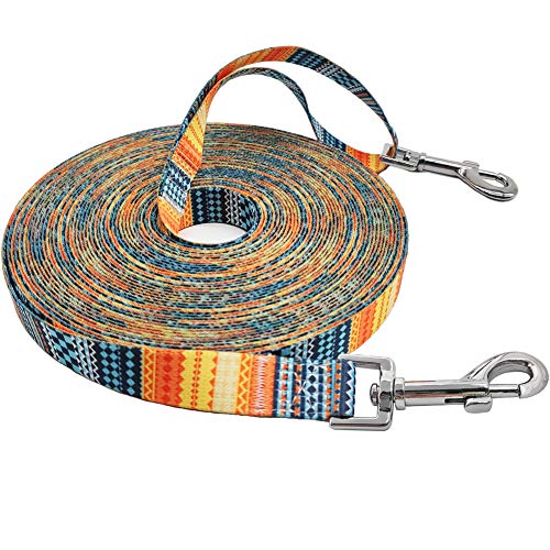 BTINESFUL Printing Nylon Dog/Puppy Obedience Recall Agility Training Lead-12ft, 30ft Long Dog Leash