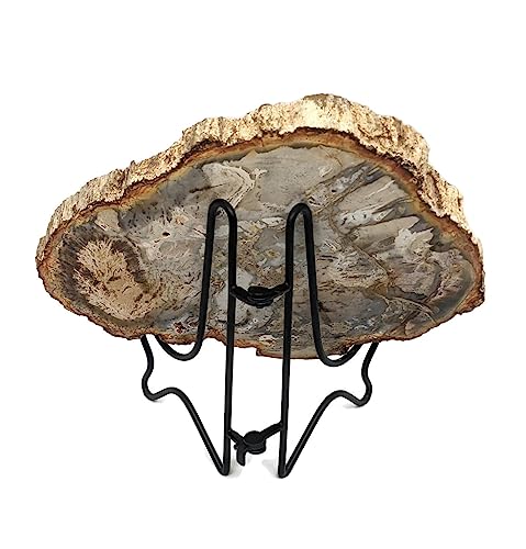 Image of Petrified Wood Slab with Stand - 4.5 to 5 inch - Natural Petrified Wood Polished on Both Sides