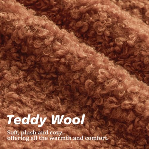 Image of Foindtower Set of 2 Curly Teddy Wool Pillow Covers Decorative Boucle Textured Lumbar Throw Pillow Faux Fur Sherpa Pillowcases Sheepskin Fuzzy Cushion Case for Sofa Bedroom Car 12 inchx20 inch Burnt Orange