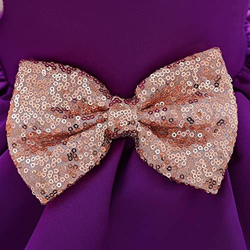 Dressy Daisy Baby & Toddler Girls' Special Occasion Dresses Wedding Flower Girl Tiered Dress Fancy Ball Gown with Headband4