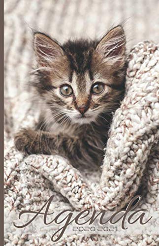 Télécharger Agenda Scolaire 2020 2021: Agenda Chat 2020 2021 Août 2020 à Décembre 2021 Calendar & Planificate PDF Ebook En Ligne